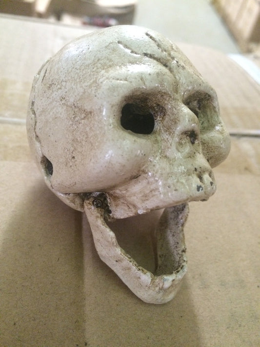 Bottle Opener Skull Head Hand-Held Bottle Opener