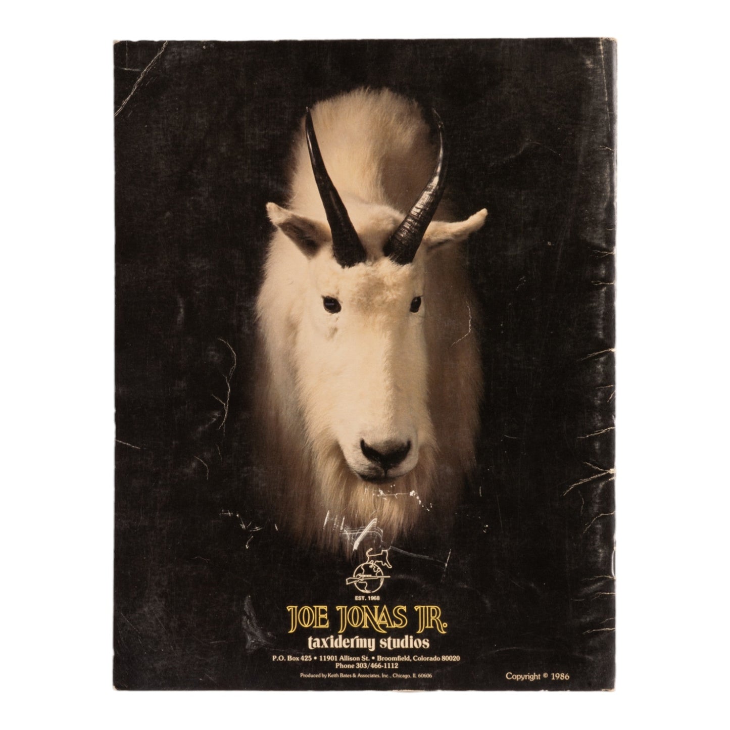 The Art of Taxidermy, 2nd Edition by Joe Jonas Jr.